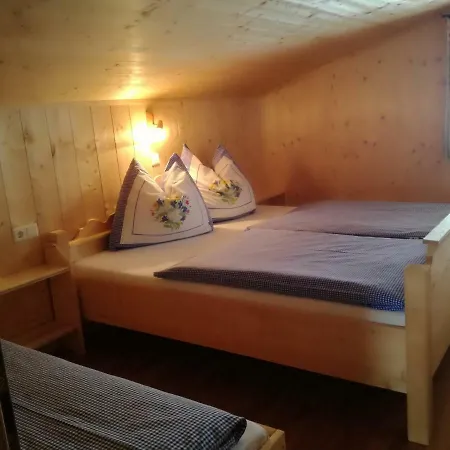 公寓 Riederhof 齐勒河谷的拉姆绍